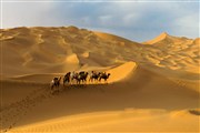 新疆之旅，愛上著遼闊無際大沙漠